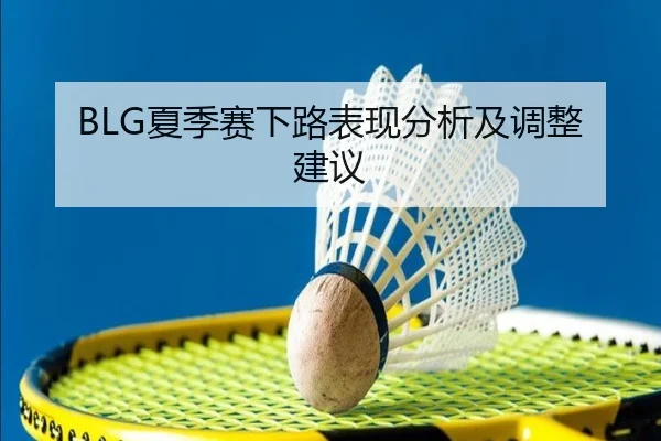 BLG夏季赛下路表现分析及调整建议（ayx）